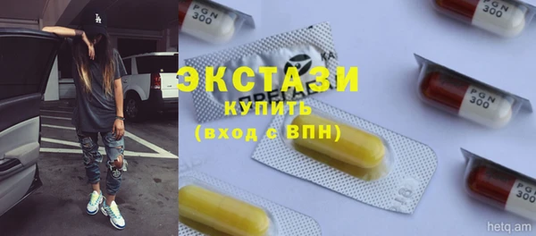 спиды Ельня