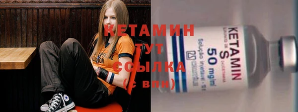 спиды Ельня