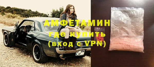 спиды Ельня