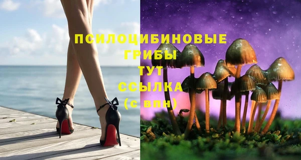 спиды Ельня